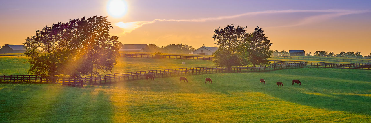 Farms