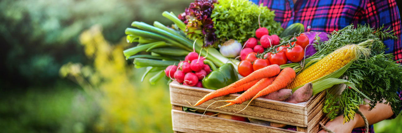 Fresh Produce – Fruit & Vegetables